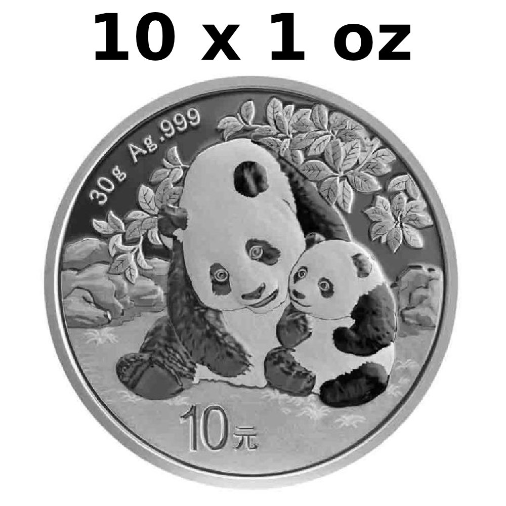 China 10 Yuan 10 x 2024 30g ¥10 CNY Chinese Silver Panda Coin (In