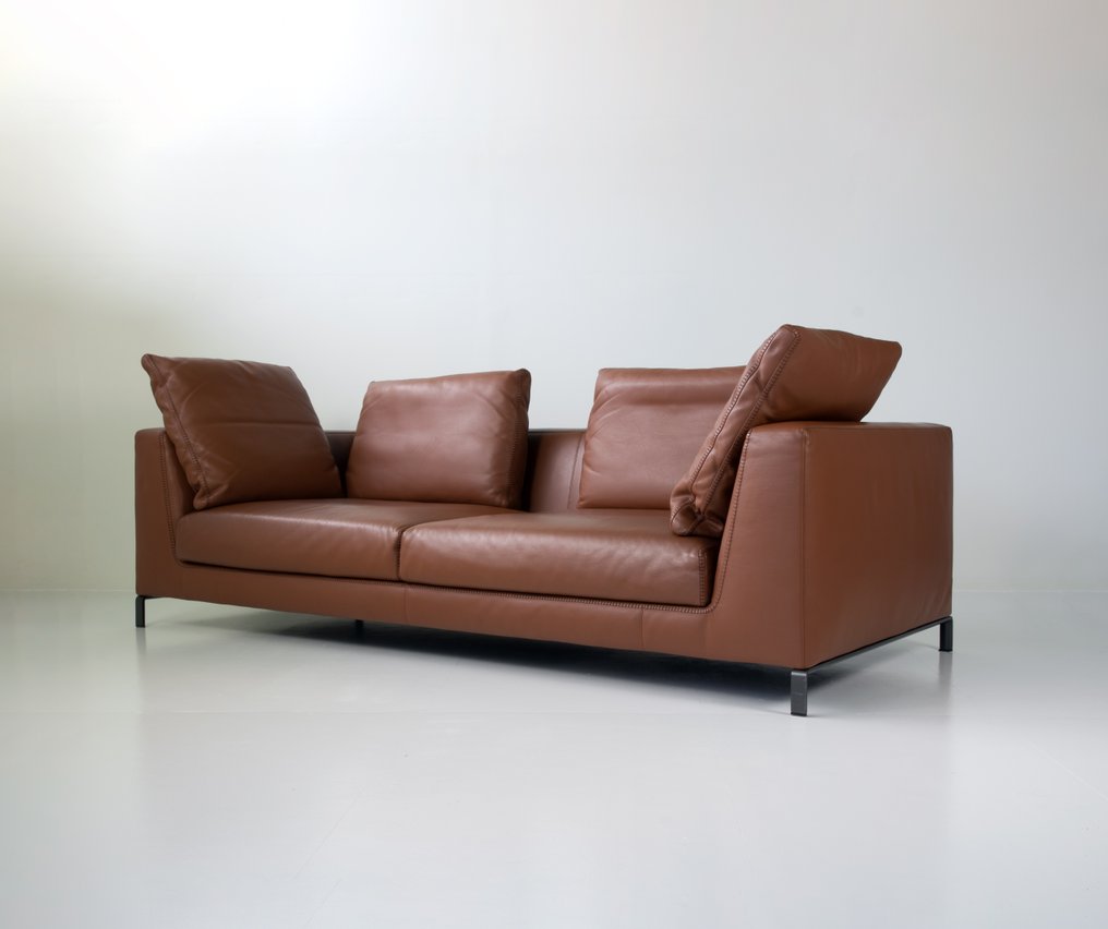 B&B Italia - Antonio Citterio - Sofa - Strahl - Leder - Ray Sofa #1.0
