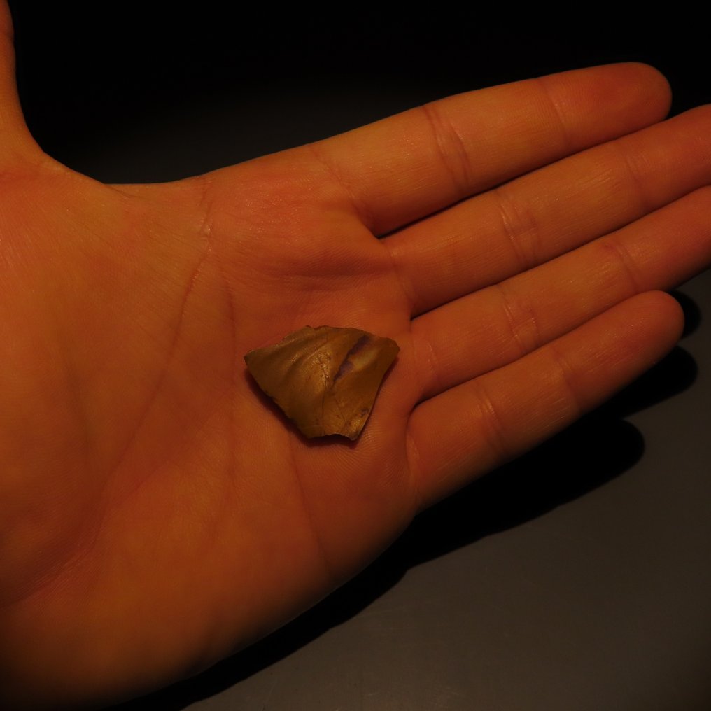 Paleolitico Pietra Focaia Strumento in pietra o ascia di Fontmaure (Francia). Circa 300.000 - 40.000 a.C. altezza di 2,8 cm. #4.3