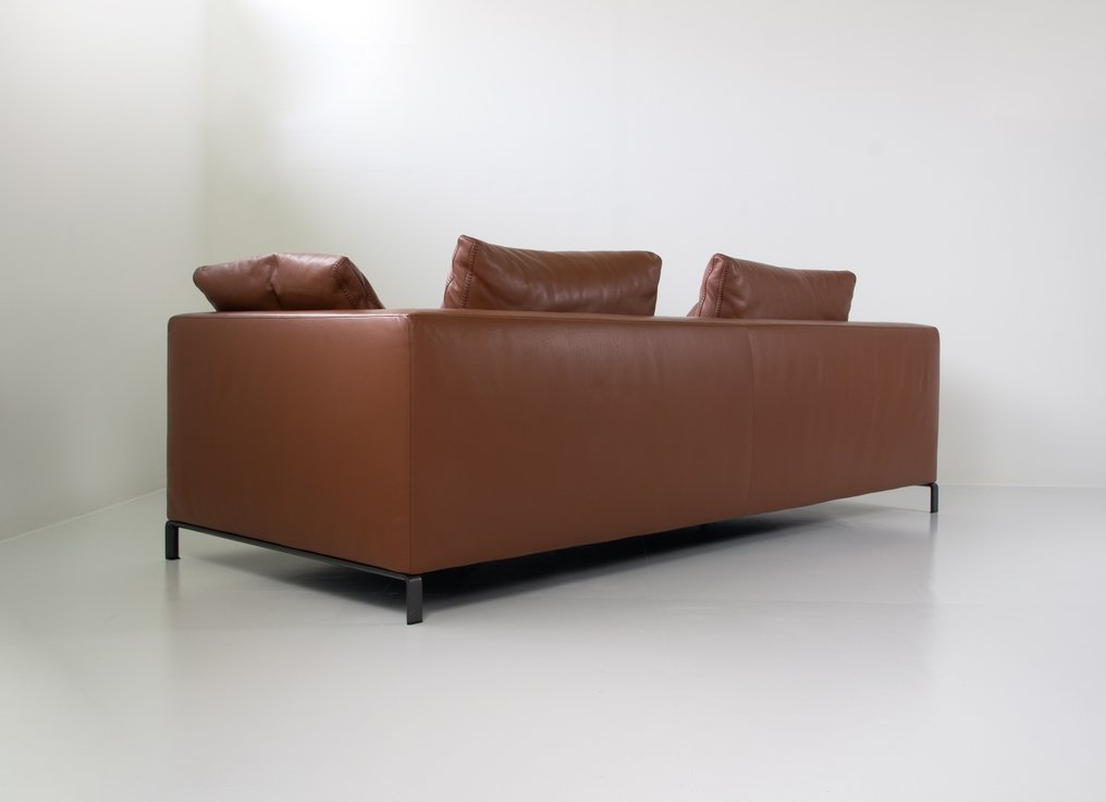 B&B Italia - Antonio Citterio - Sofa - Strahl - Leder - Ray Sofa #4.3
