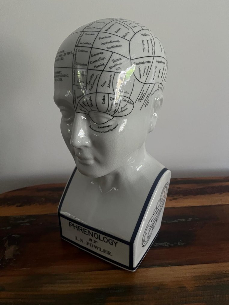 醫療器械 - 瓷器 - 颅骨空洞 - 颅相学 #3.2