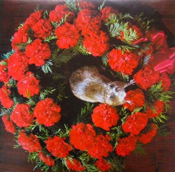 The Stranglers - No More Heroes /  ★★★ A Really "Must-Have"! For Collectors In Great Condition ★★★ - LP Album (stand-alone item) - 1st Pressing, Japanese pressing - 1977 #2.1