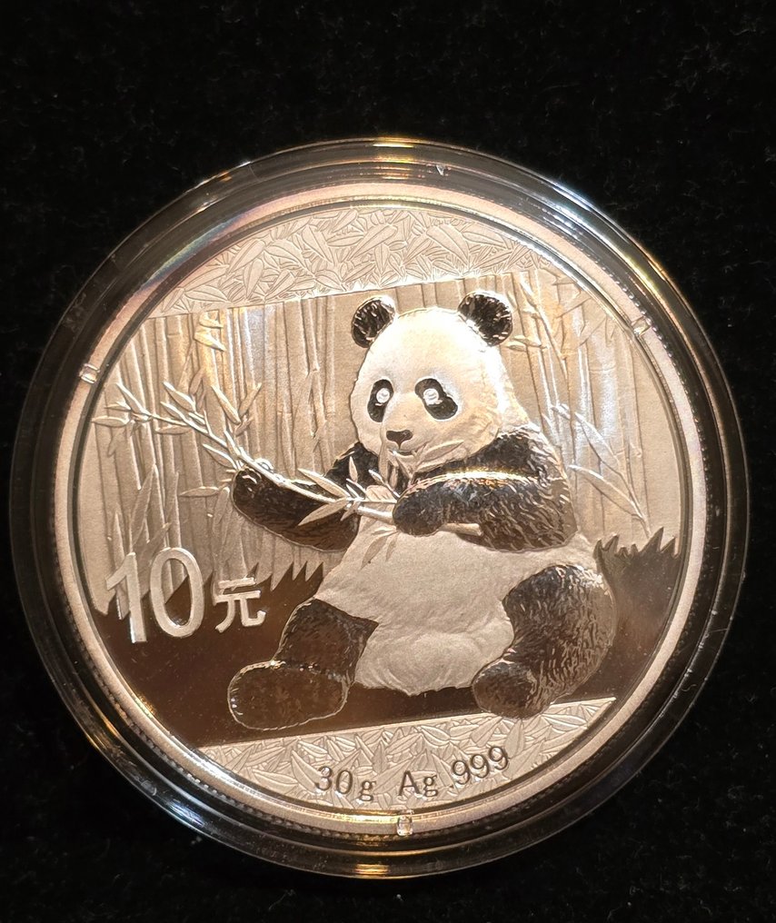中国. 10 Yuan 2017 Panda, 30g Ag.999  (没有保留价) #4.3