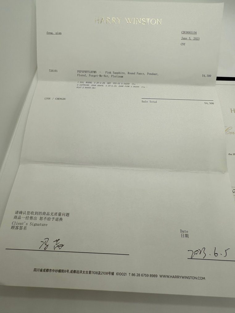 Harry Winston - 頸鏈 鉑金 #3.2