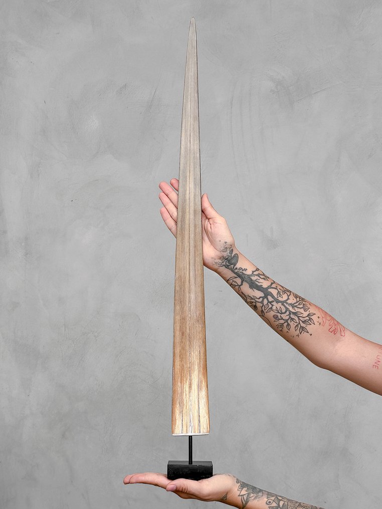 无底价 - 剩鱼獠牙镶嵌在底座上 支架上的吻突 - Xiphias Gladius - 80 cm - 8 cm - 7 cm- 非《濒危物种公约》物种 #2.1