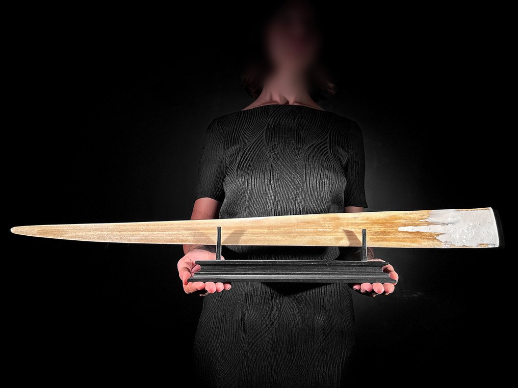 无底价 - 精美雕刻的大型青铜鲯鳅吻部，配有定制底座 - 日本锦鲤 支架上的吻突 - Xiphias Gladius - 13 cm - 82 cm - 6 cm- 非《濒危物种公约》物种 -  (1) #4.3