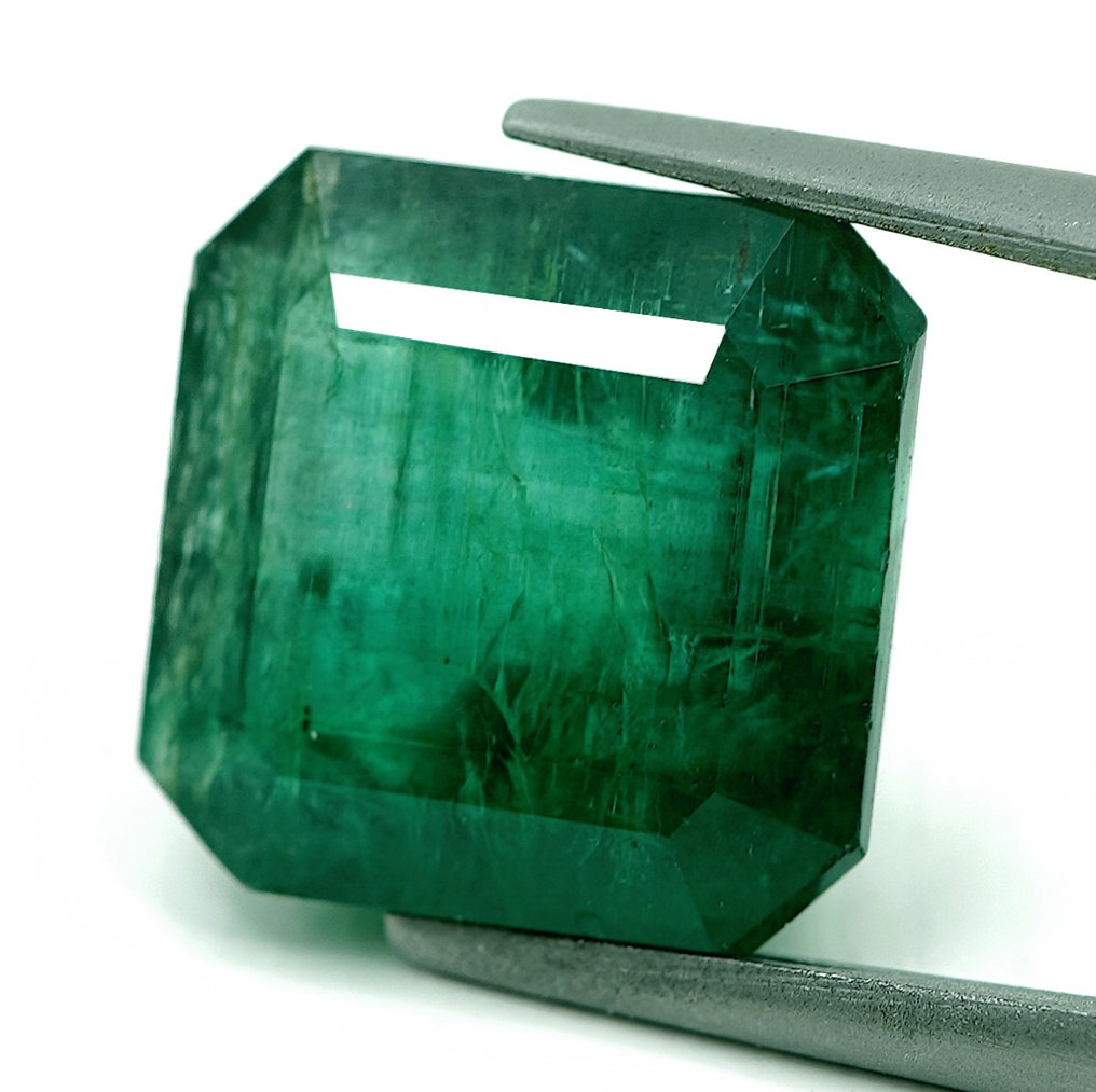 1 pcs  Green Emerald  - 9.07 ct - Bellerophon Gemlab #1.0