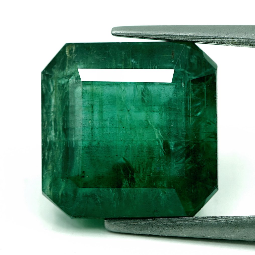 1 pcs  Green Emerald  - 9.07 ct - Bellerophon Gemlab #1.0