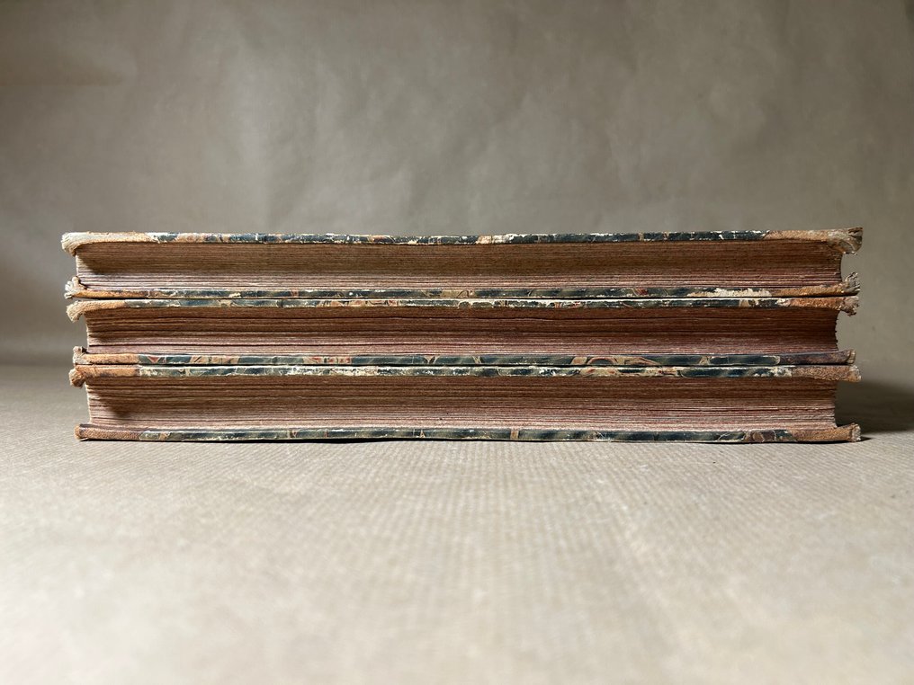 John Carne / W.H. Bartlett / William Purser - The Holy Land, Asia Minor &c., Illustrated in a Series of Views Drawn from Nature by W.H. - 1836 #4.3