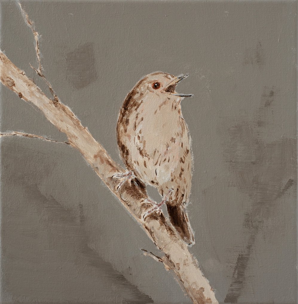 Matthieu van Riel - Singing Bird #1.0