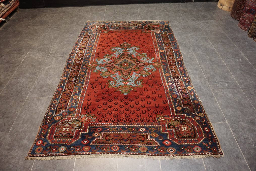 古董哈萨克 - 地毯 - 240 cm - 152 cm #1.0