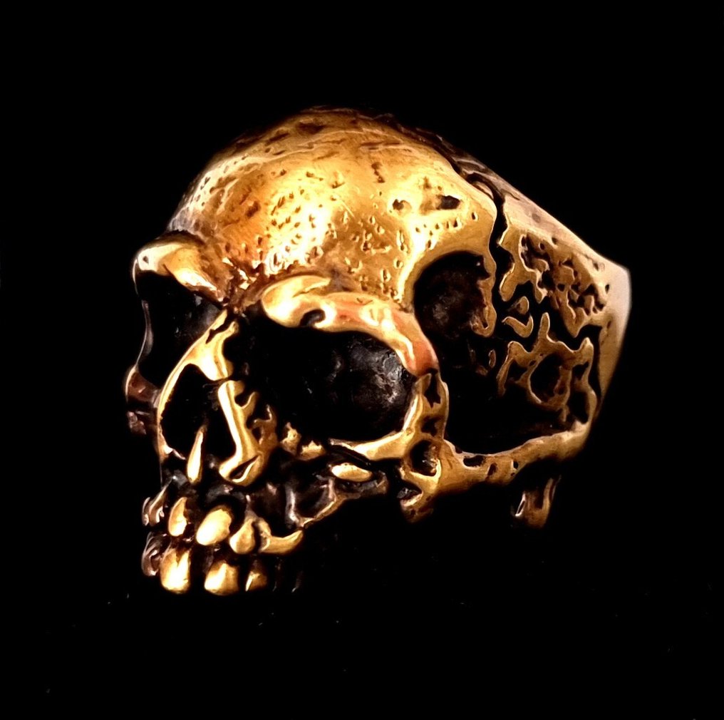 女爵 - 强烈的视觉 - 头骨 - 记忆死神 - 与永恒及无形力量的联系 - 戒指 #4.3