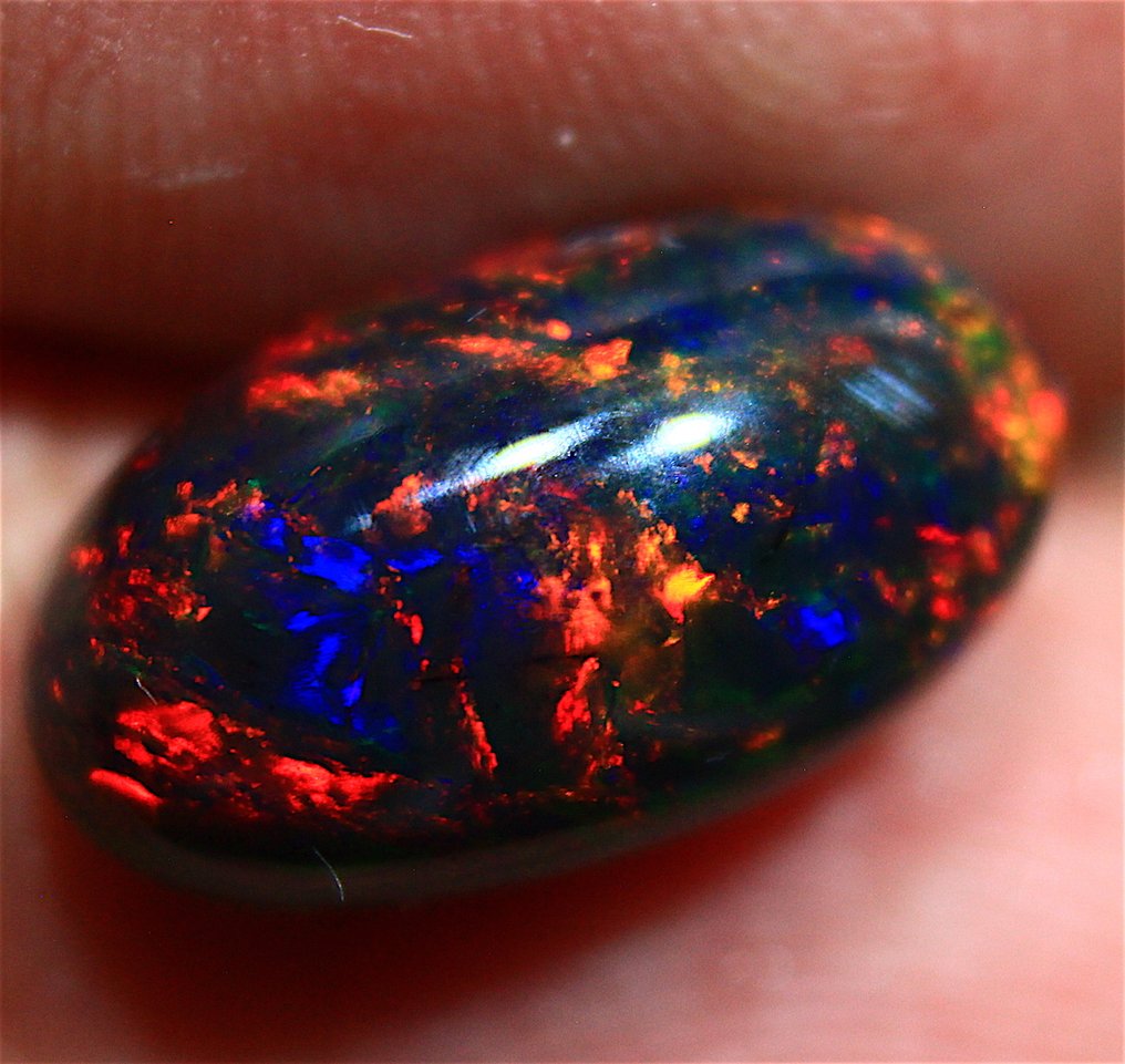 Cts. 3.50  Natural Ethiopian Black Opal Cabochon - Altezza: 18 mm - Larghezza: 15 mm- 0.7 g #3.2