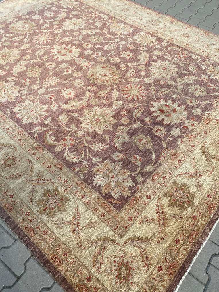 Ziegler Royaal - Teppe - 303 cm - 250 cm #2.1