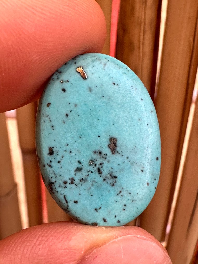 Turquoise Wonderful Neishabour Turquoise 11,75 Ct. Large Wonderful Piece. Gem Quality! - Height: 24 mm - Width: 18 mm- 2.35 g #1.0