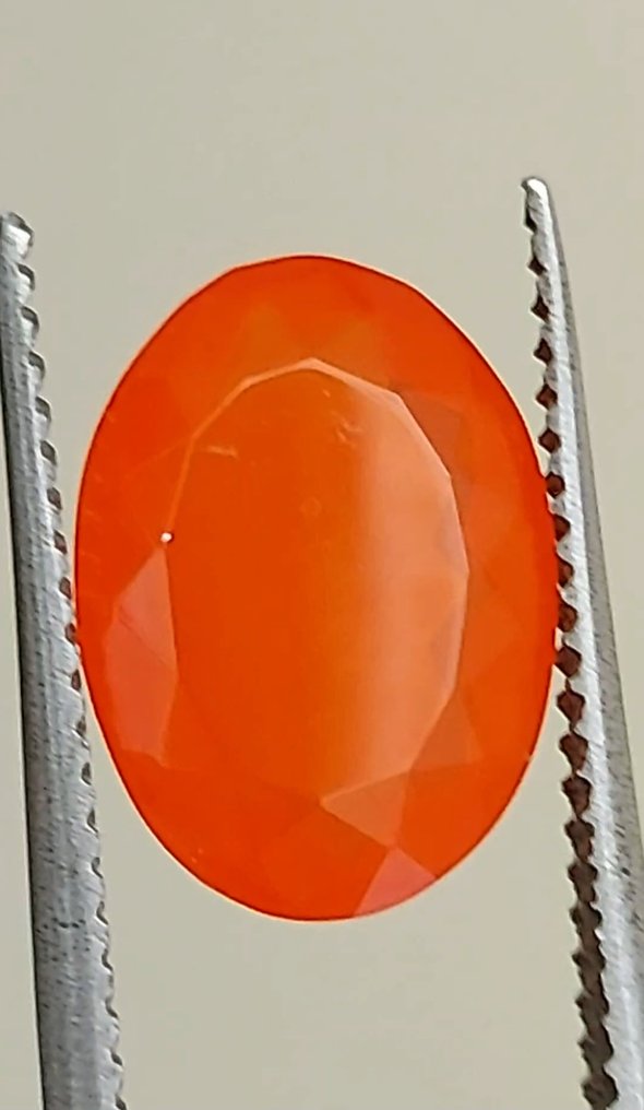 沒有保留價 火蛋白石 - 4.15 ct - Antwerp Laboratory for Gemstone Testing (ALGT) #2.1