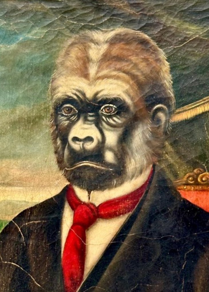 Scuola inglese (XIX) - Ritratto di Sir Gorilla #3.2