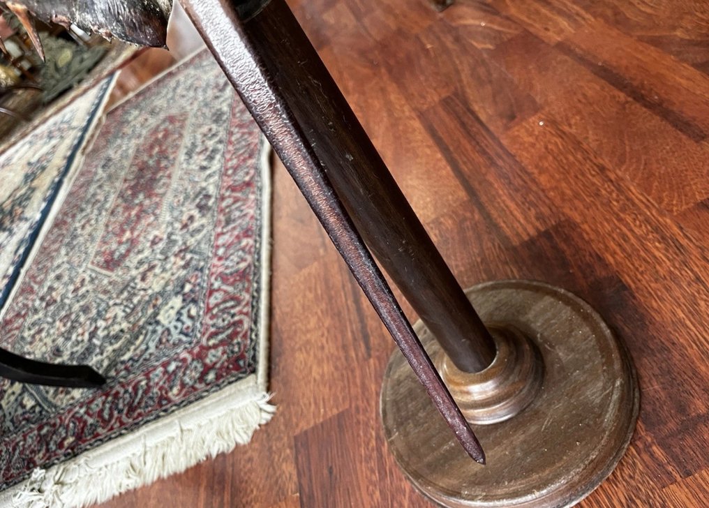 鱟 甲殼 - Limulus Polyphemus - 67.5 cm - 29 cm - 20 cm - 非《瀕臨絕種野生動植物國際貿易公約》物種 - 1 #3.2