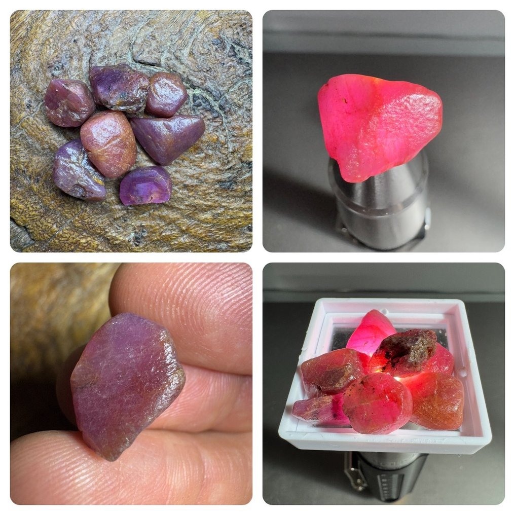 7个天然未切割红宝石晶体，重105.15克拉。无底价。 粗糙- 21.03 g - (7) #1.0