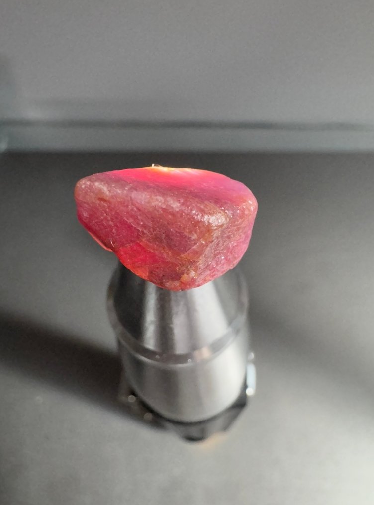 7个天然未切割红宝石晶体，重105.15克拉。无底价。 粗糙- 21.03 g - (7) #4.3