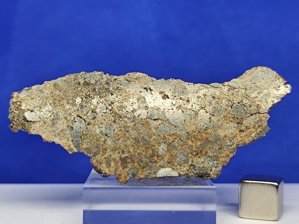 6.9 cm, endcut! DIOGENITE (HED) -achondrite from VESTA asteroid- ERG ATOULIA 002 (Mali, 2020) - 37.4 g #2.1