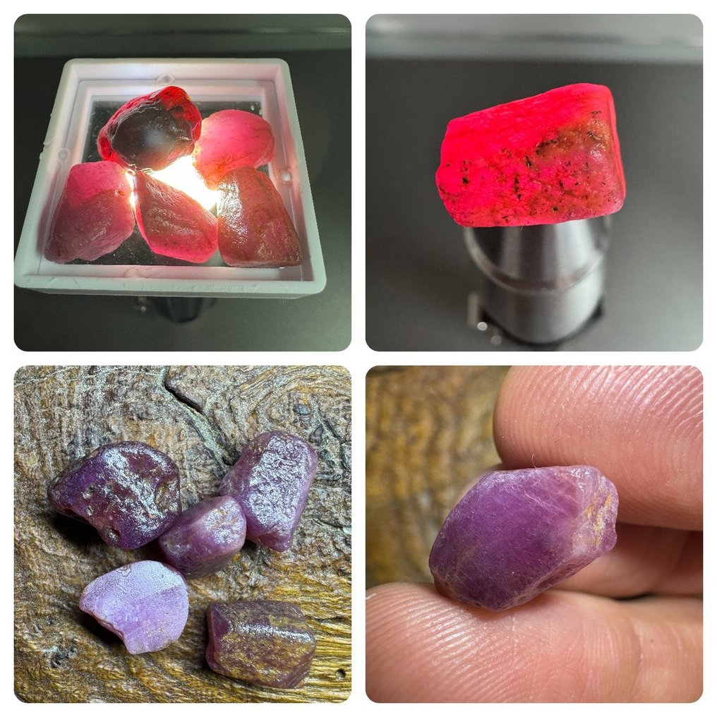 5顆天然紅寶石原石，共102.15克拉。無底價。 粗糙- 20.43 g - (5) #1.0