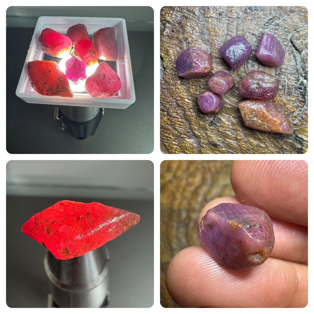 Σετ 7 ακατέργαστων φυσικών ρουμπίνιων. 102,25 καράτια. Χωρίς τιμή ελάχιστης προσφοράς. Τραχύς- 20.45 g - (7) #1.0