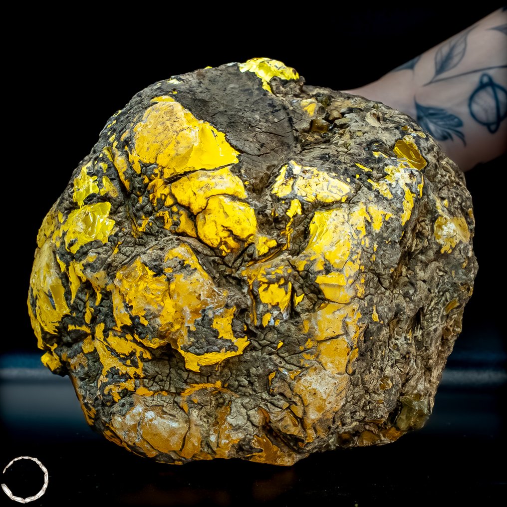 Μεγάλη φυσική χρυσή βερνίτη. απεριποίητο- 1005.67 g #4.3