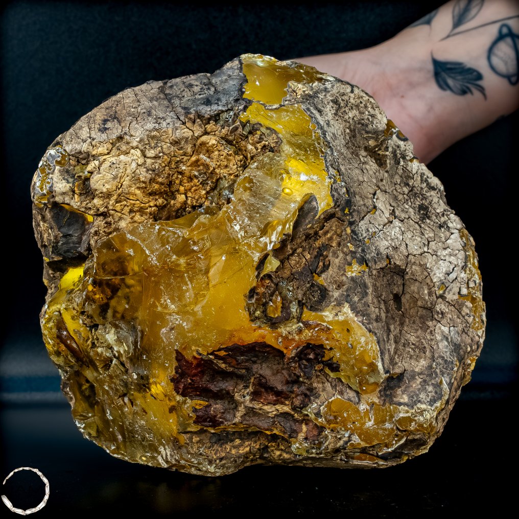 Μεγάλη φυσική χρυσή βερνίτη. απεριποίητο- 1005.67 g #3.2