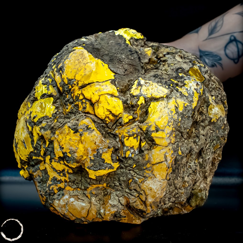 Μεγάλη φυσική χρυσή βερνίτη. απεριποίητο- 1005.67 g #1.0