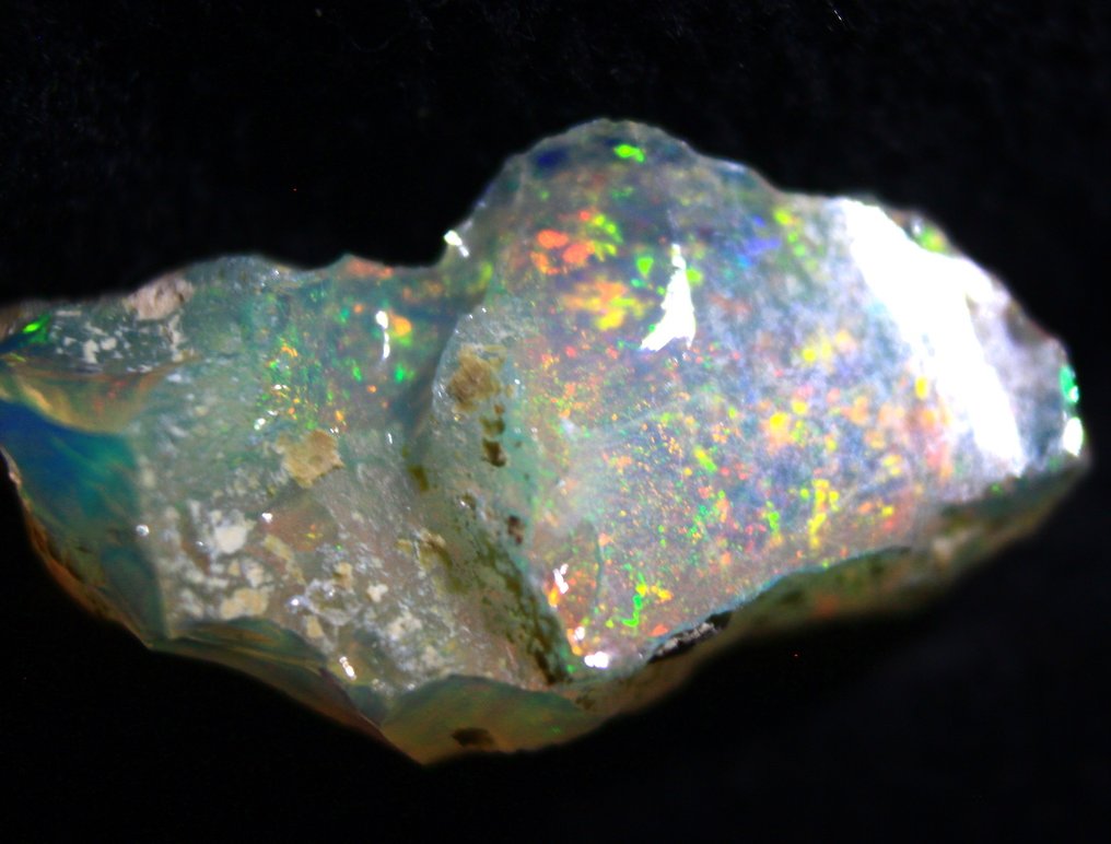 10,50 karatów Ethiopian Opal Szorstki - Wysokość: 22 mm - Szerokość: 12 mm- 2.1 g #1.0