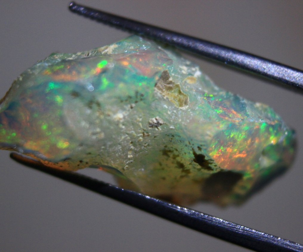 10,50 karatów Ethiopian Opal Szorstki - Wysokość: 22 mm - Szerokość: 12 mm- 2.1 g #4.3