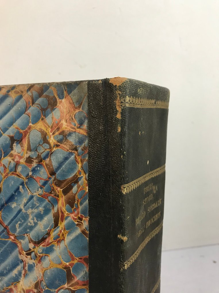 Francesco Bruni - Storia dell'I. e R. Spedale di S. Maria degl'Innocenti di Firenze e di altri pii stabilimenti. - 1819 #4.3