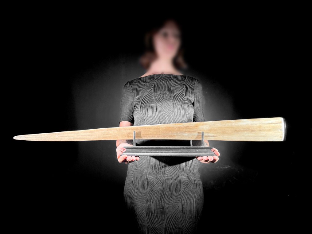 无底价 - 特大号雕刻剑鱼吻部 - 双龙图案 吻突 - Xiphias Gladius - 14 cm - 95 cm - 6 cm- 非《濒危物种公约》物种 #4.3