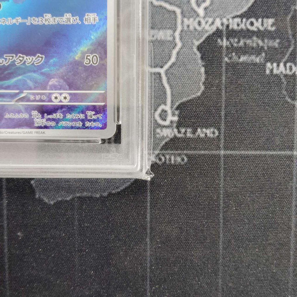 Pokémon - 1 Graded card - Wartortle - PSA 10 - Scarlet & Violet #4.3