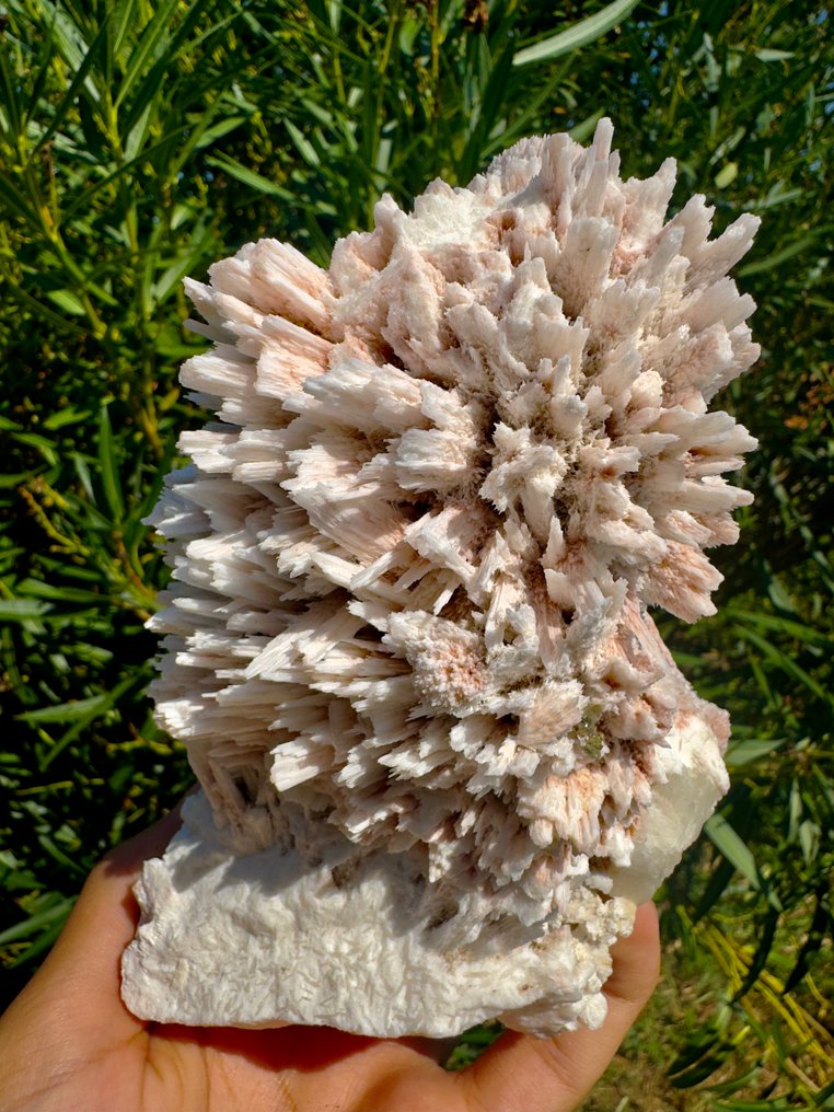 Stunning Modernite Flower Crystal on matrix - Height: 11 cm - Width: 9 cm- 860 g - (1) #1.0
