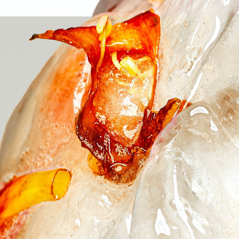 Elena Paraskeva - Cryoflora #1 #2.1