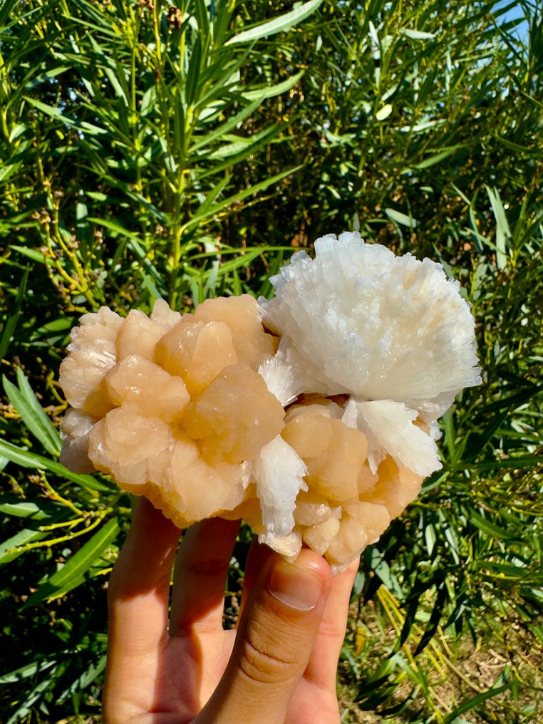 Unique Mesolite with Stilbite Crystal on matrix - Height: 9 cm - Width: 13 cm- 617 g - (1) #3.2