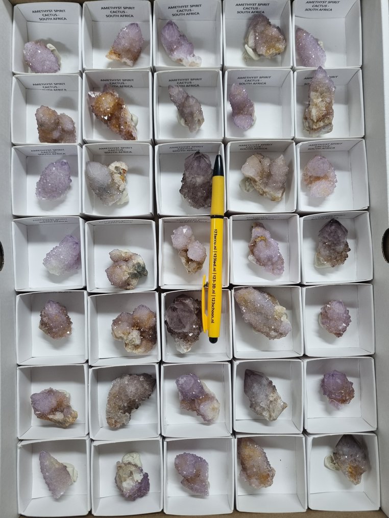 大量灵魂/仙人掌石英 - 南非 - 3.5 / 5.7 厘米 水晶点- 1.01 kg - (35) #1.0