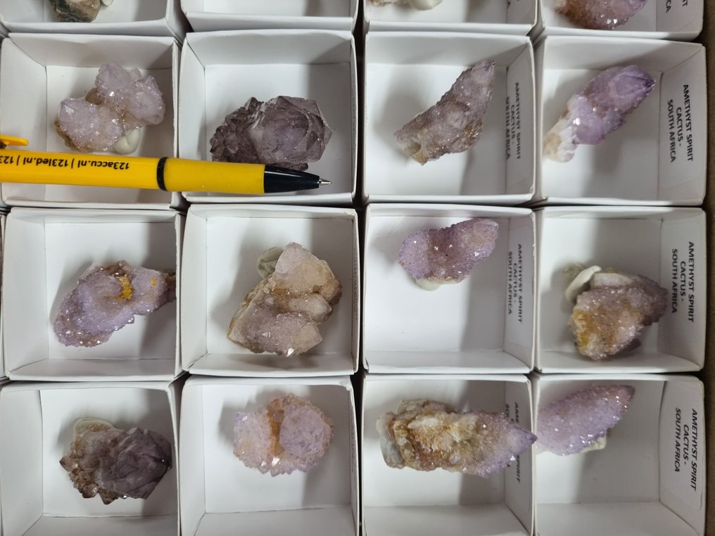 大量灵魂/仙人掌石英 - 南非 - 3.5 / 5.7 厘米 水晶点- 1.01 kg - (35) #3.2