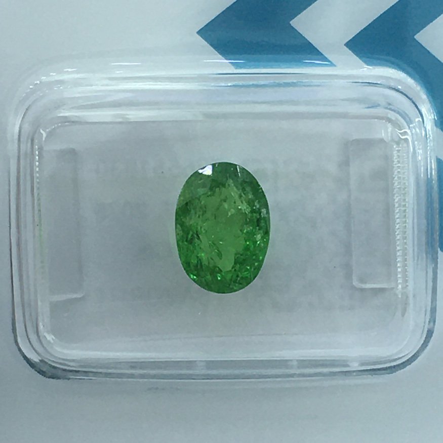 没有保留价 - 1 pcs  绿色 沙弗莱石  - 2.35 ct - 国际宝石研究院（IGI） - 天然的Tsavorite #1.0