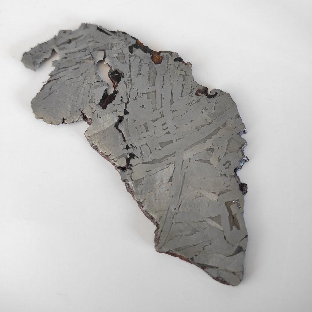 Meteorite Seymchan Fetta - Altezza: 0.03 cm - Larghezza: 7 cm- 50 g - (1) #4.3