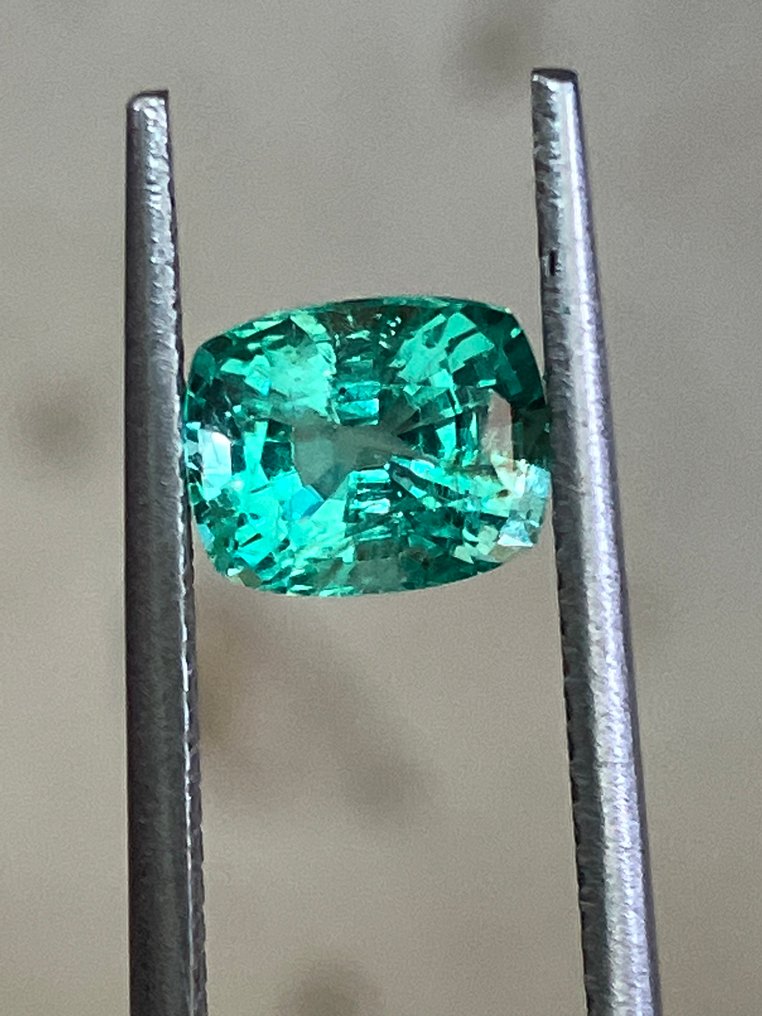 1 pcs Groen Smaragd - 1.21 ct - International Gemological Institute (IGI) - No Reserve #1.0