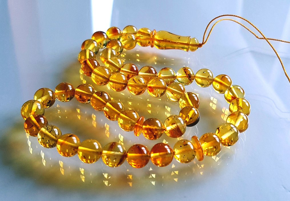 Amber 非常罕见的天然波罗的海琥珀念珠，带有昆虫包裹，每一串都具有独特的稀有性。- 17 g #3.2