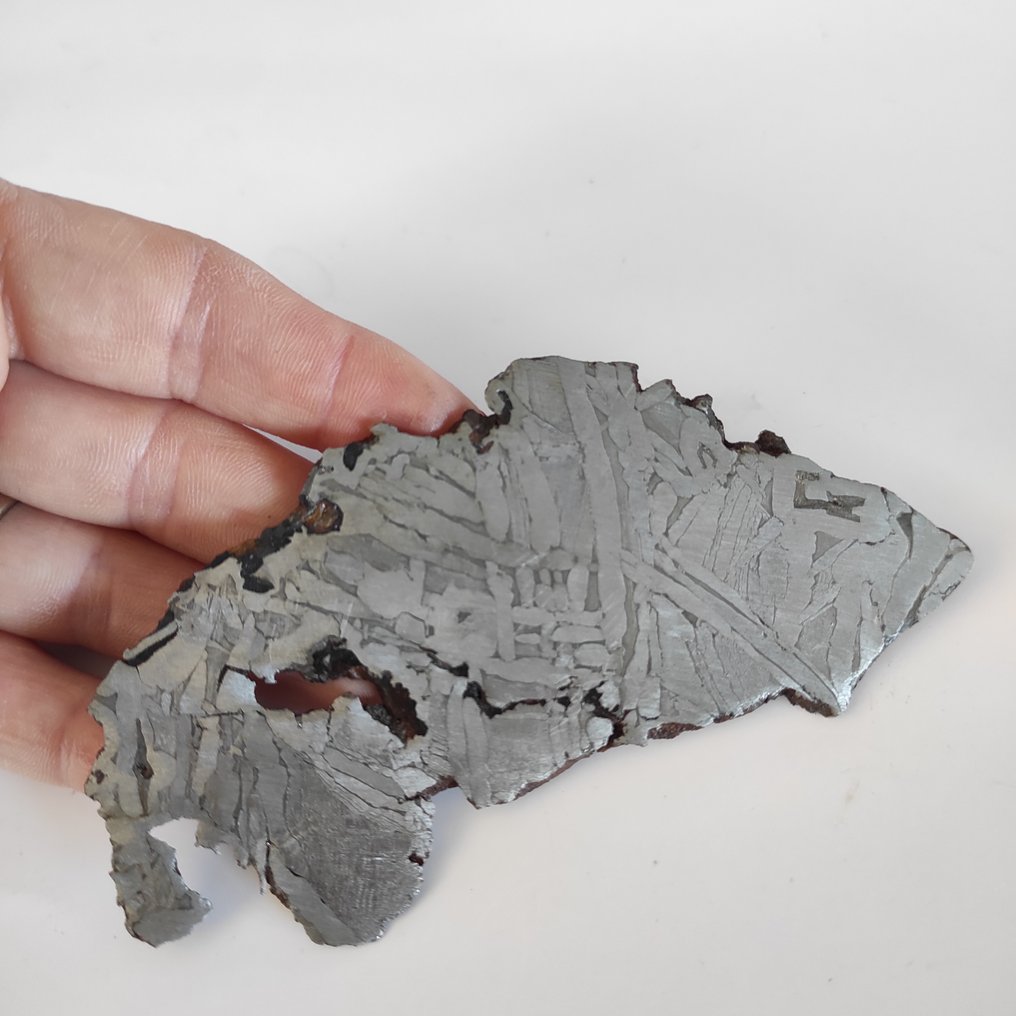 Meteorite Seymchan Fetta - Altezza: 0.03 cm - Larghezza: 7 cm- 50 g - (1) #1.0