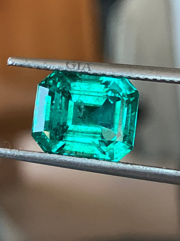 1 pcs Zöld Smaragd - 3.39 ct - Amerikai Gemmológiai Intézet (GIA) - NO OIL ZAMBIA #1.0