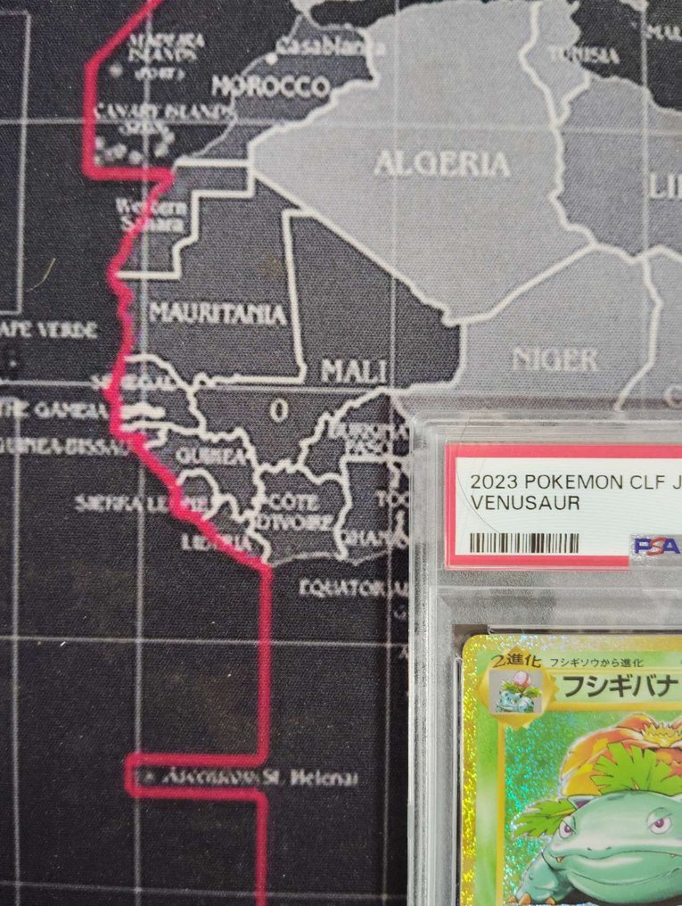 Pokémon - 1 Graded card - Venusaur - PSA 10 - Sword & Shield #1.0