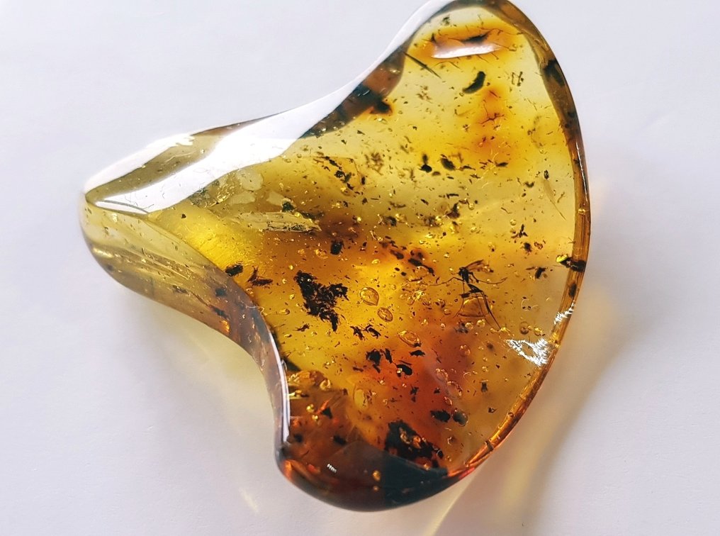 天然波罗的海琥珀石，含化石昆虫镶嵌——美丽的博物馆级别 - 琥珀  (没有保留价) #2.1