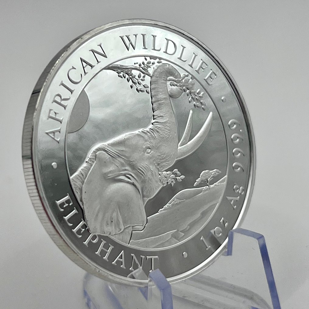 Somalië. 100 Shilling 2023 Wildlife Elephant Silver Coin Somalia 1 oz (.999) (Zonder Minimumprijs) #1.0