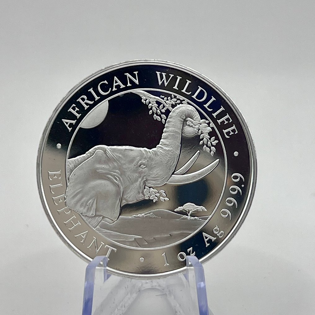 Somalië. 100 Shilling 2023 Wildlife Elephant Silver Coin Somalia 1 oz (.999) (Zonder Minimumprijs) #3.2